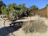 Enlarge photo 42