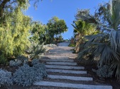 Enlarge photo 44