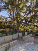 Enlarge photo 46