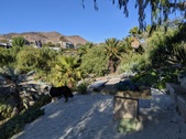 Enlarge photo 51