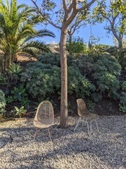 Enlarge photo 59