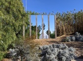 Enlarge photo 71