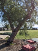 Enlarge photo 93