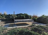 Enlarge photo 96