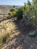 Enlarge photo 109