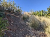 Enlarge photo 110