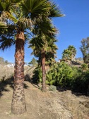 Enlarge photo 112
