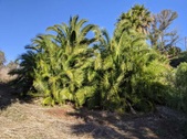 Enlarge photo 113