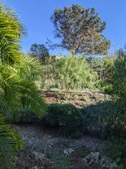 Enlarge photo 114