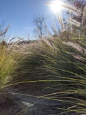 Enlarge photo 116