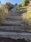 Enlarge photo 117