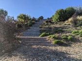 Enlarge photo 118