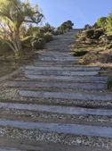 Enlarge photo 119