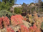 Enlarge photo 121