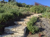 Enlarge photo 122