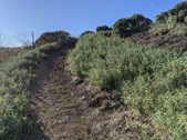 Enlarge photo 123