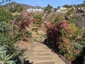 Enlarge photo 124