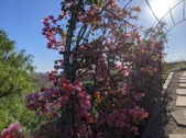 Enlarge photo 126