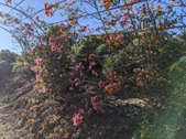 Enlarge photo 128