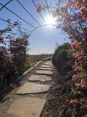 Enlarge photo 129