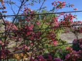 Enlarge photo 130