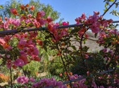 Enlarge photo 132