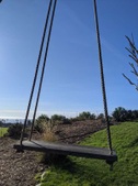 Enlarge photo 138