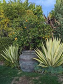 Enlarge photo 24