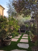 Enlarge photo 36