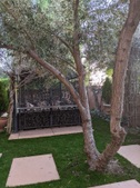 Enlarge photo 40