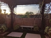 Enlarge photo 41