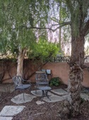 Enlarge photo 44