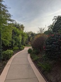 Enlarge photo 52