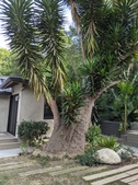 Enlarge photo 33
