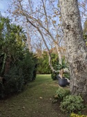 Enlarge photo 34