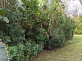 Enlarge photo 35