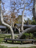 Enlarge photo 39