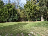 Enlarge photo 45