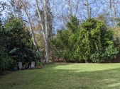 Enlarge photo 46
