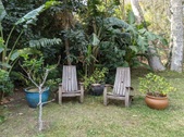 Enlarge photo 47