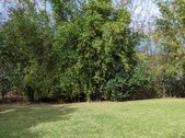 Enlarge photo 48