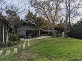 Enlarge photo 54