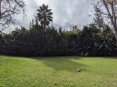 Enlarge photo 55
