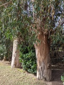 Enlarge photo 58