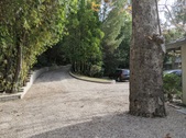 Enlarge photo 60
