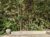 Enlarge photo 61