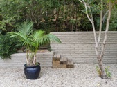 Enlarge photo 68
