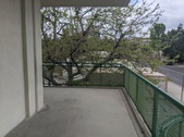 Enlarge photo 45