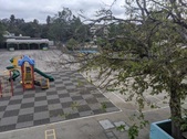 Enlarge photo 52