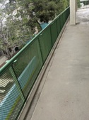 Enlarge photo 55